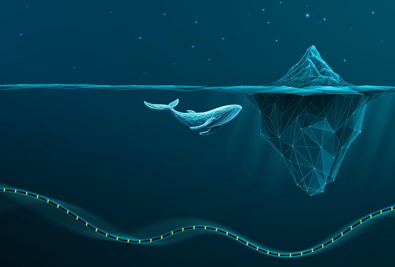 Regulating submarine cable infrastructure